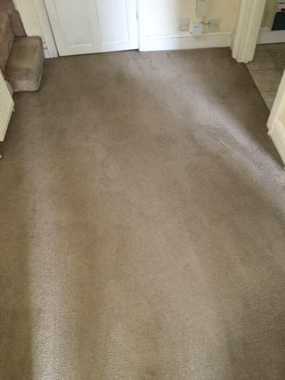 cheap carpet cleaning Warwick