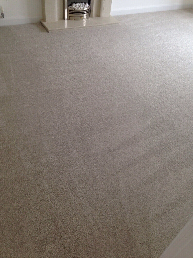 Carpet Cleaning Warwick